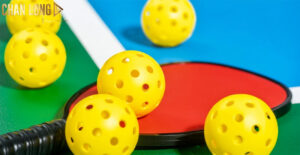 tim-hieu-cac-loai-bong-Pickleball