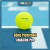 Bóng Pickleball AMAKIRK