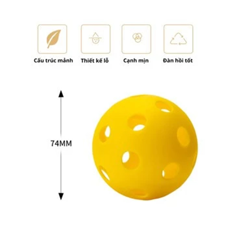 Bóng Pickleball Tập Luyện