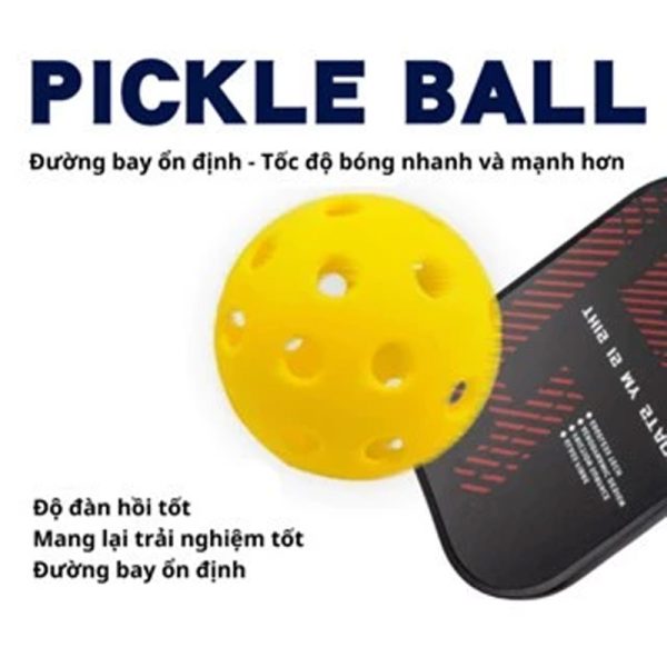 Bóng Pickleball Tập Luyện