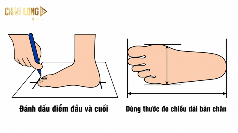 Cách đo bàn chân bằng giấy A4