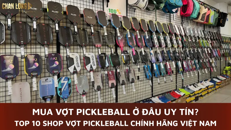Mua vợt pickleball ở đâu uy tín